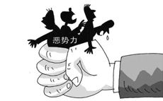 李某兴等16人涉黑案