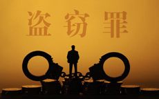 施某涉嫌盗窃罪一案