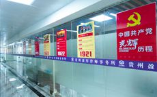 贵州盈厚律师事务所党支部成立